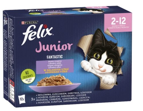 Felix Fantastic Junior Vegyes válogatás aszpikban nedves macskaeledel 12x85g